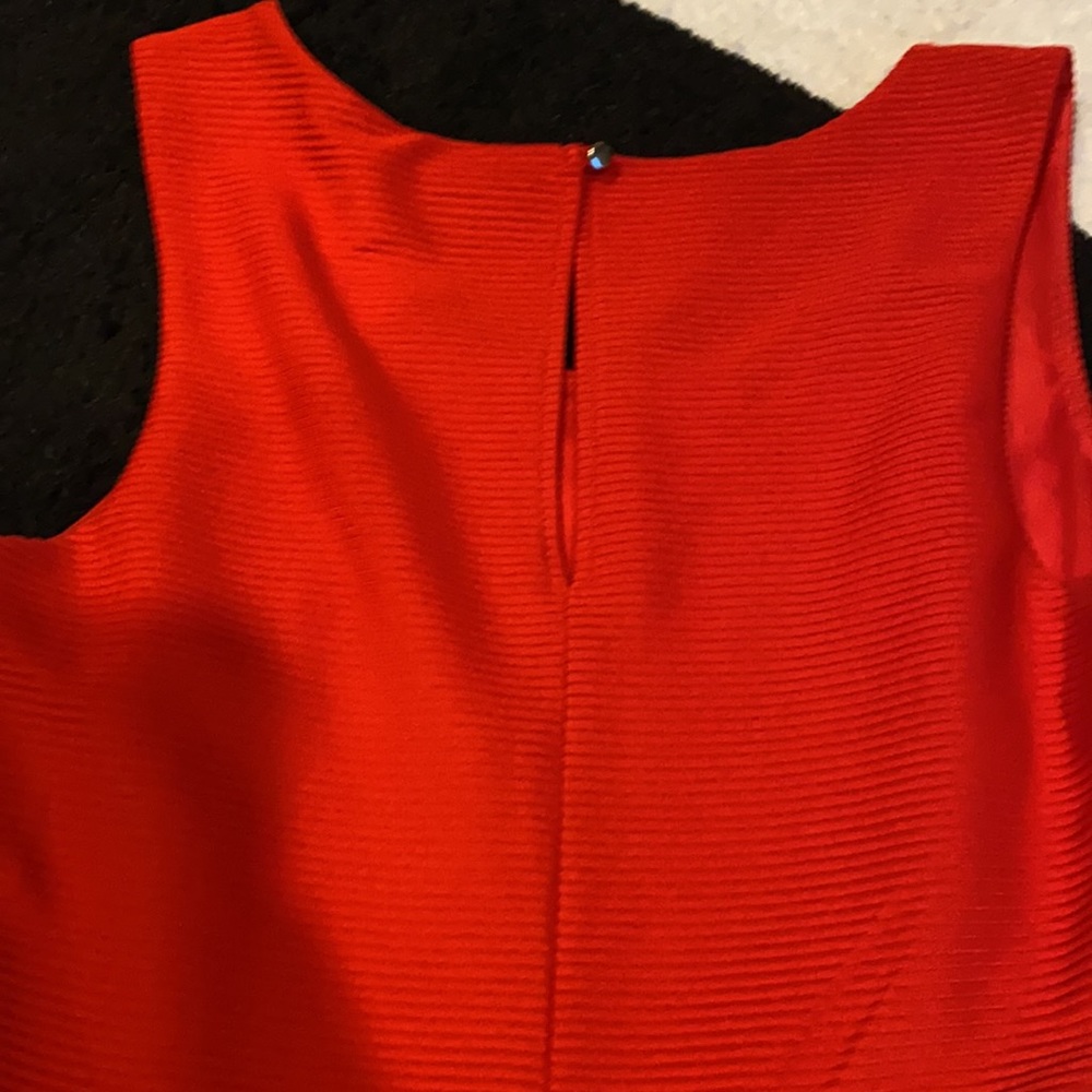 Red Express Dress - Picture 4 of 4